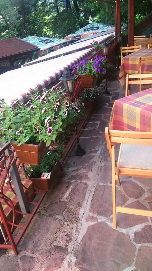 Hotel Restaurant Vodenitsata Berkovitsa Eksteriør billede